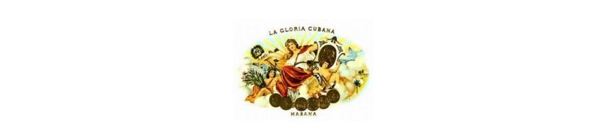 Buy La Gloria Cubana Buying Havana Cuban Cigars For Sale at Habanos Outlet